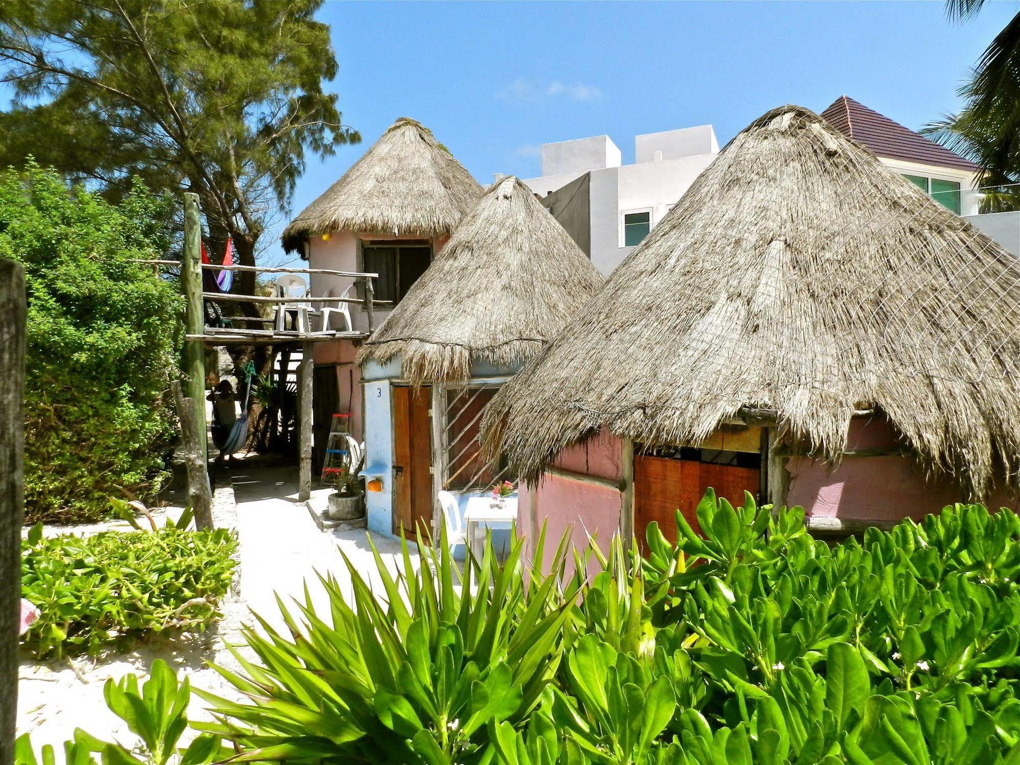 Acamaya Reef Cabanas & Beach Bar